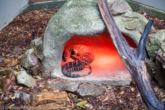 Blackbutt Nature Reserve