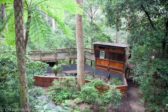 Blackbutt Nature Reserve