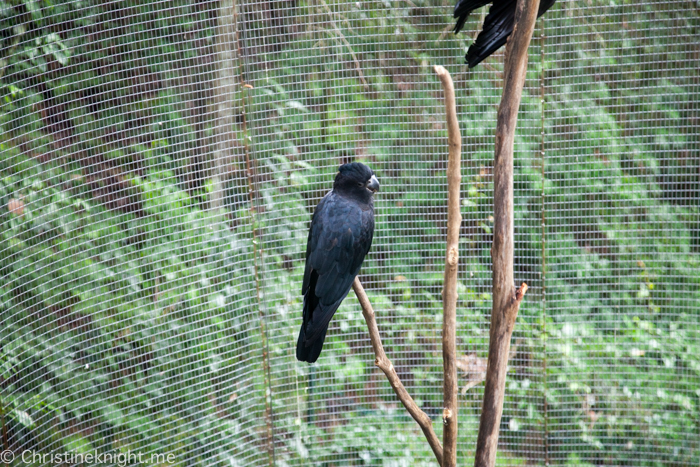 Blackbutt Nature Reserve