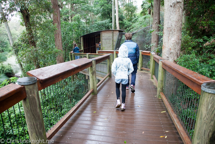 Blackbutt Nature Reserve