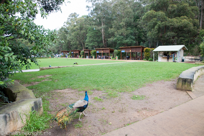 Blackbutt Nature Reserve