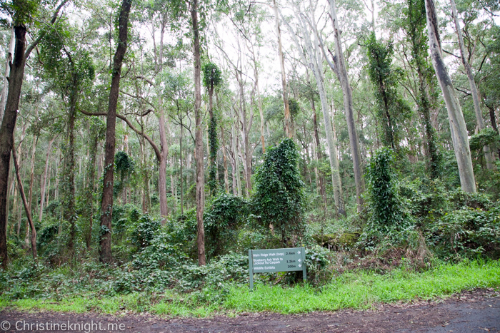 Blackbutt Nature Reserve