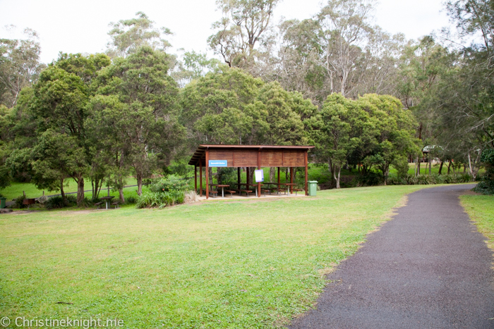 Blackbutt Nature Reserve