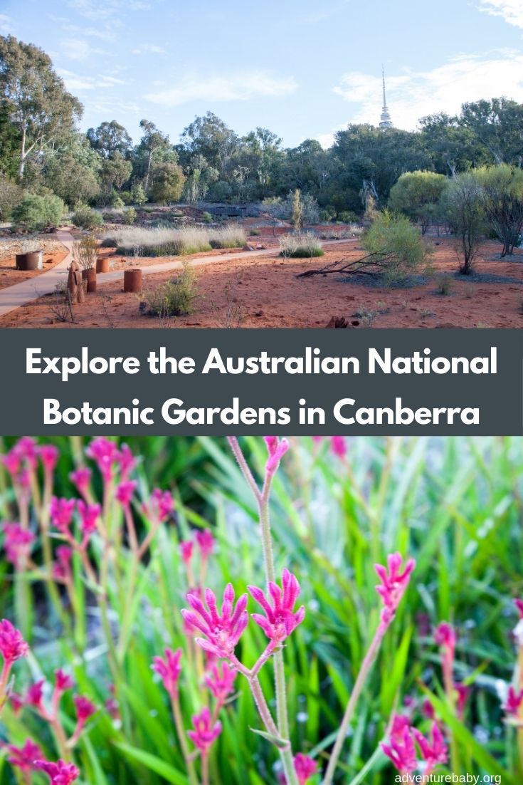 Australian National Botanic Gardens Canberra