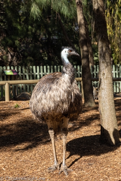 National Canberra Zoo