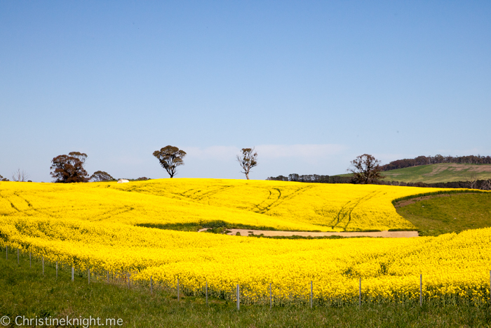 trip central west nsw