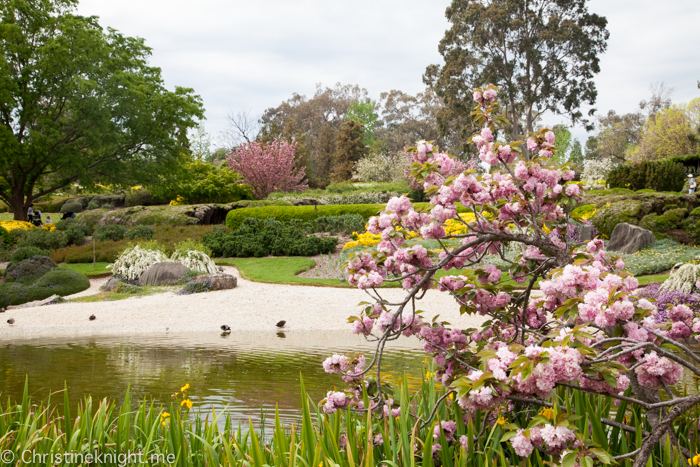 are dogs allowed in cowra japanese garden