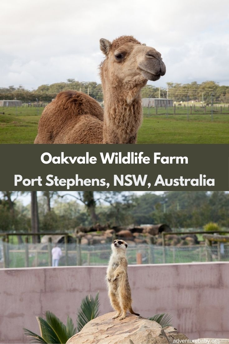 Oakvale Wildlife Farm Port Stephens, NSW, Australia