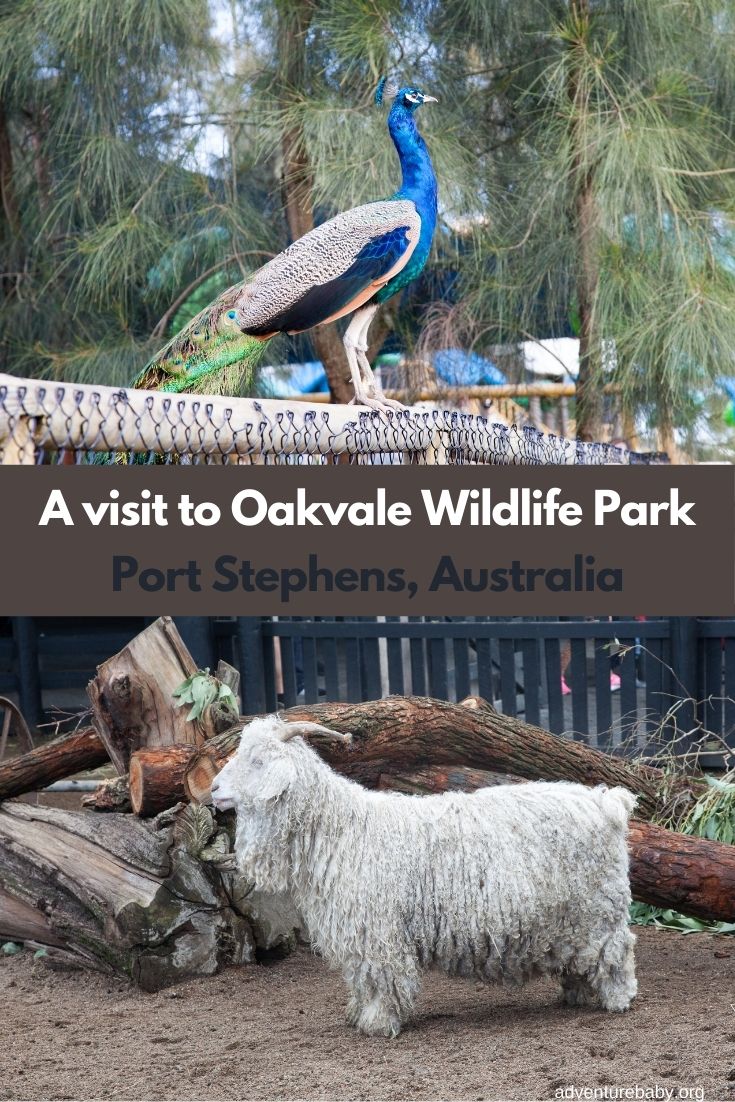 Oakvale Wildlife Farm, Port Stephens Australia