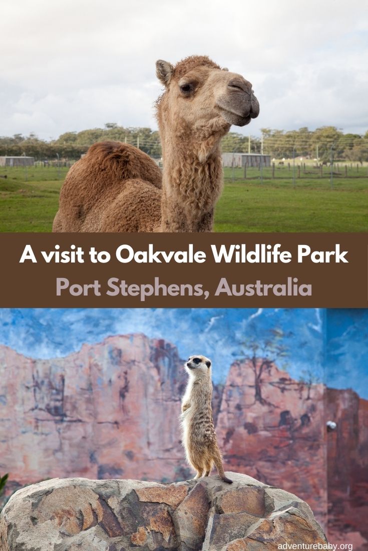 Oakvale Wildlife Farm, Port Stephens Australia