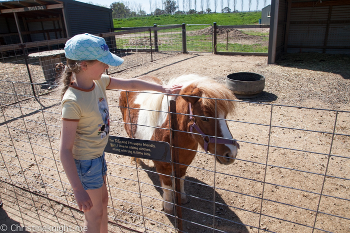 Orange Heifer Wines