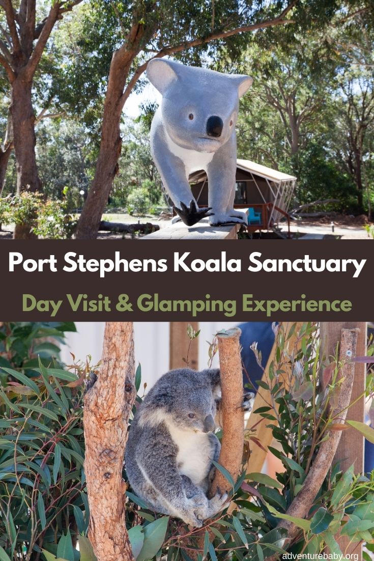 Port Stephens Koala Sanctuary