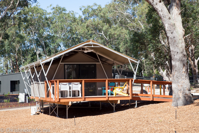 Port Stephens Koala Sanctuary