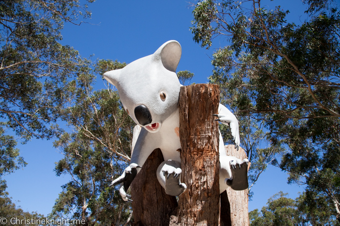 Port Stephens Koala Sanctuary