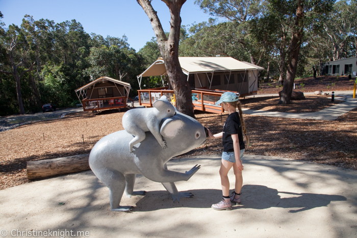 Port Stephens Koala Sanctuary