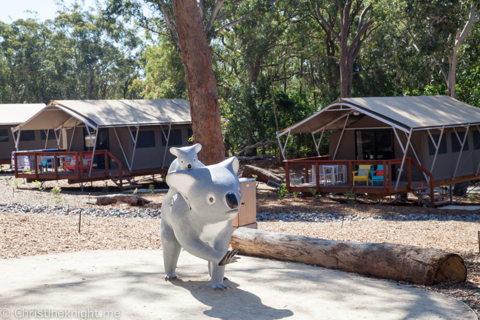 Port Stephens Koala Sanctuary