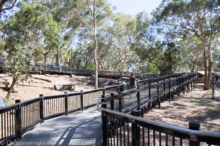 Port Stephens Koala Sanctuary