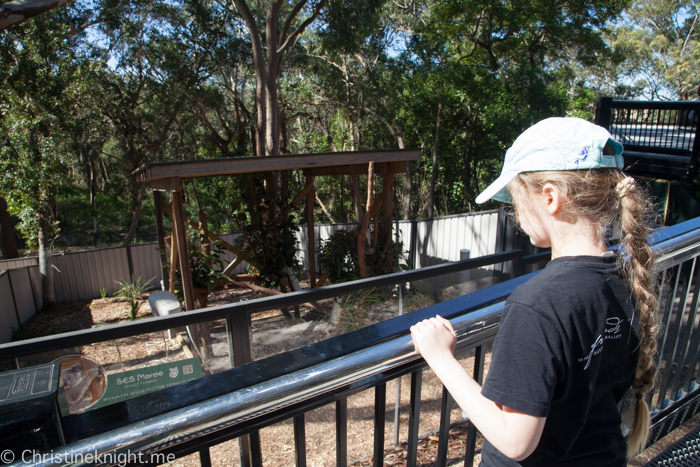 Port Stephens Koala Sanctuary