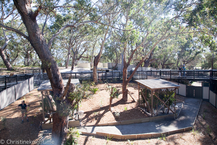 Port Stephens Koala Sanctuary