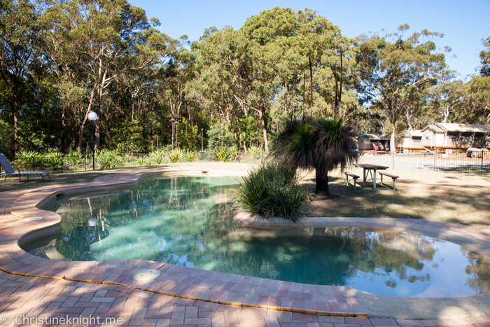 Port Stephens Koala Sanctuary