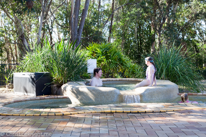 Port Stephens Koala Sanctuary