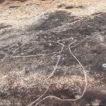 Bulgandry Aboriginal Art Site, Central Coast