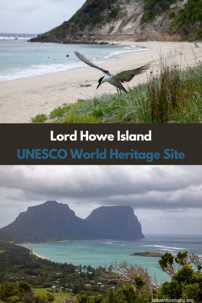 Lord Howe Island Holiday Tips - Adventure, baby!