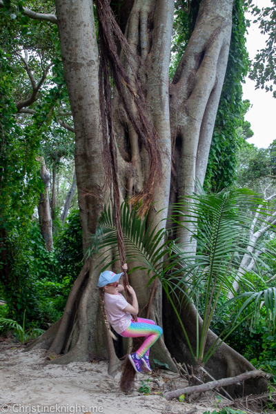 Lord Howe Island Holiday