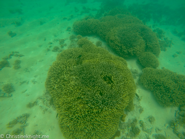 Lord Howe Island Holiday