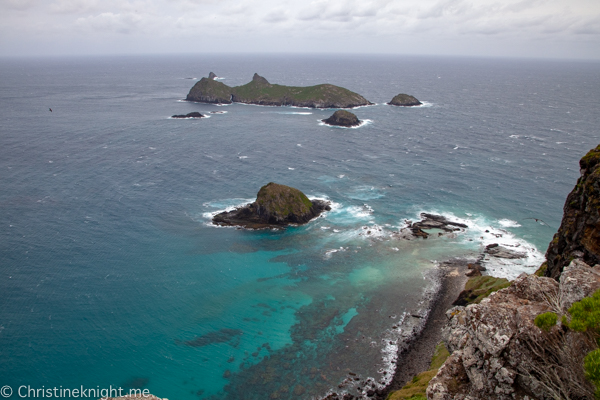 Lord Howe Island Holiday