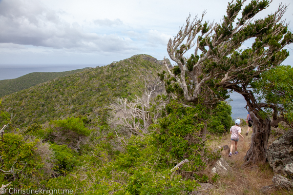 Lord Howe Island Holiday