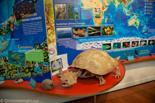 Lord Howe Island Holiday