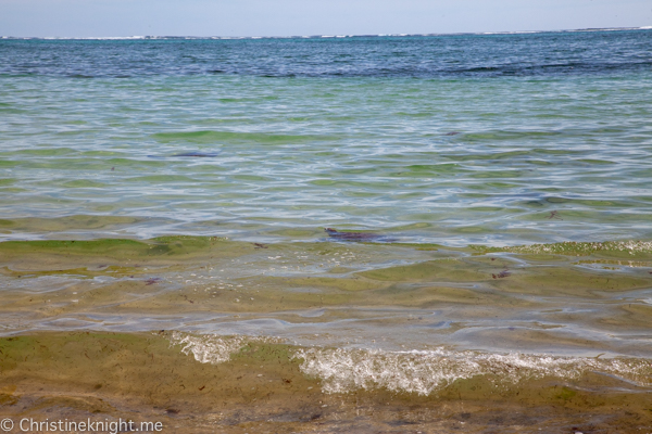 Lord Howe Island Holiday