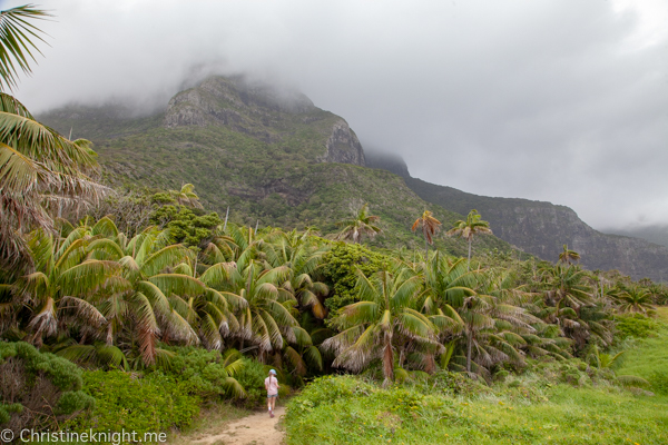 Lord Howe Island Holiday