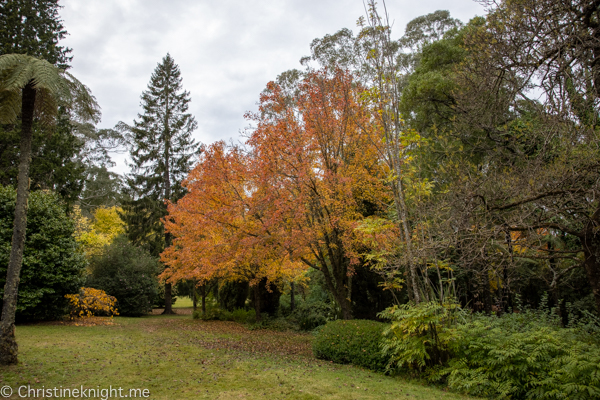 Breenhold Gardens Mt Wilson Sydney