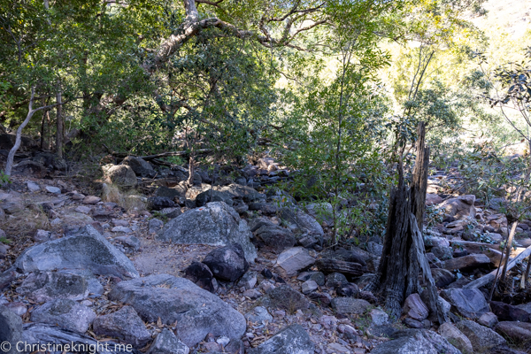 Things to do in Kakadu National Park