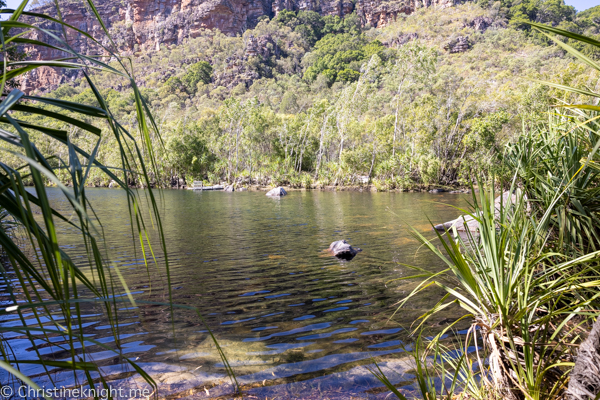 Things to do in Kakadu National Park