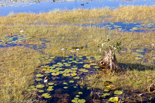 Things to do in Kakadu National Park