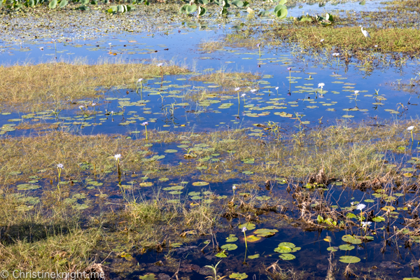 Things to do in Kakadu National Park