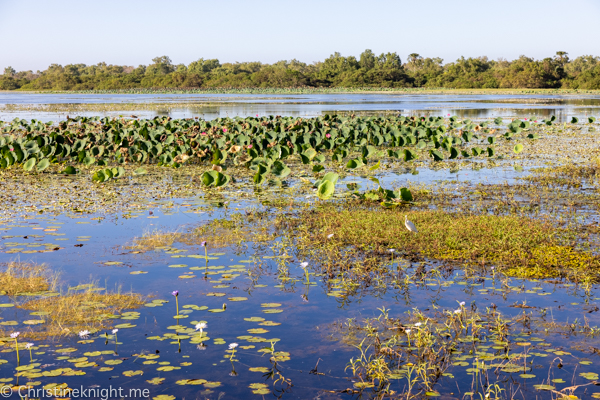Things to do in Kakadu National Park