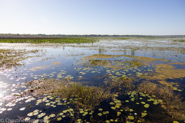 Things to do in Kakadu National Park