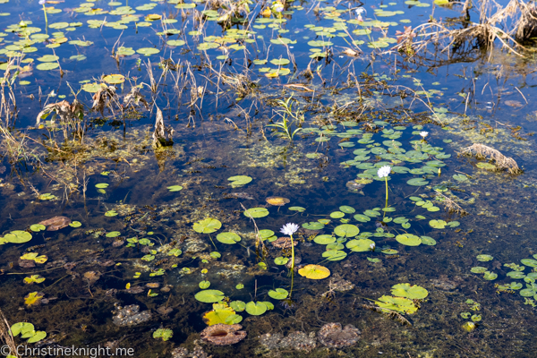 Things to do in Kakadu National Park