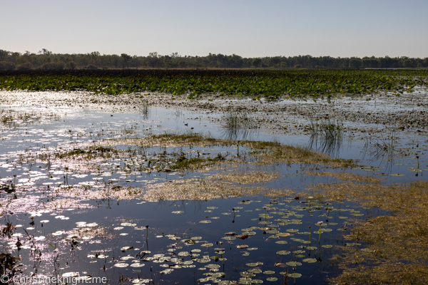 Things to do in Kakadu National Park