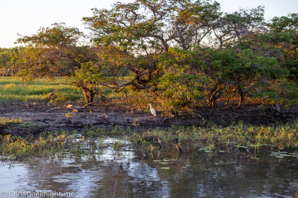 Things to do in Kakadu National Park