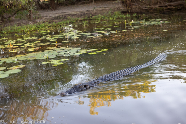 Things to do in Kakadu National Park