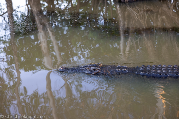 Things to do in Kakadu National Park