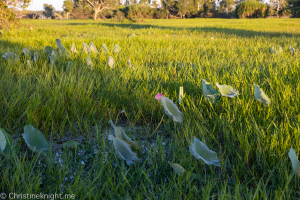 Things to do in Kakadu National Park