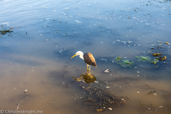 Things to do in Kakadu National Park