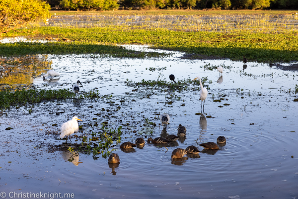 Things to do in Kakadu National Park