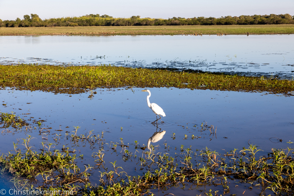 Things to do in Kakadu National Park